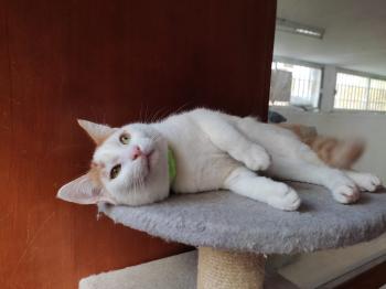Teo Bild von Teo