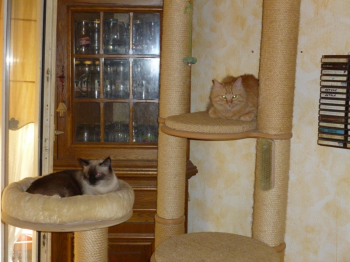 Elda Bild von Elda
