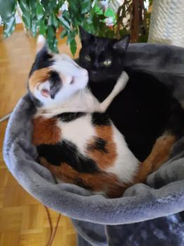 Anja Bild von Anja