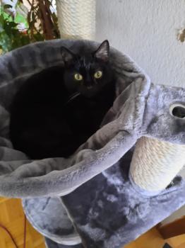 Anja Bild von Anja
