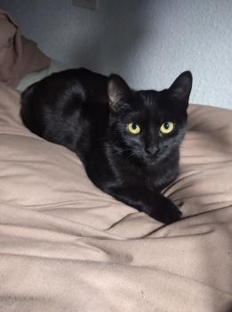 Moki Bild von Moki