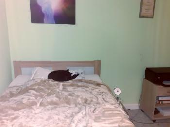 Romeo Bild von Romeo