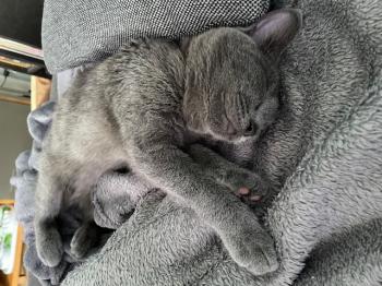 Lena Bild von Lena