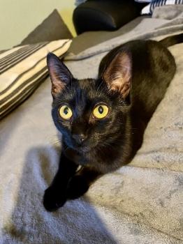 Penelope Bild von Penelope