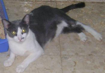 Lucy Bild von Lucy