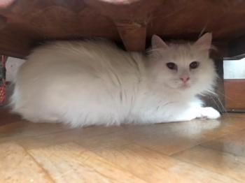 Paty Bild von Paty