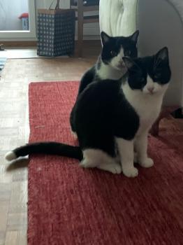Beodo Bild von Beodo