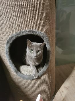Nikita Bild von Nikita