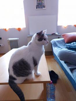 Desirée Bild von Desirée