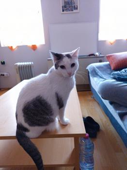 Desirée Bild von Desirée