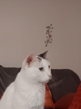 Desirée Bild von Desirée