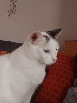 Desirée Bild von Desirée