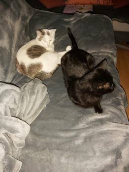 Desirée Bild von Desirée