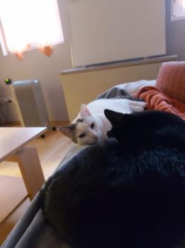 Desirée Bild von Desirée