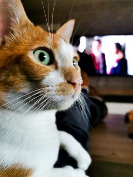 Ricky Bild von Ricky
