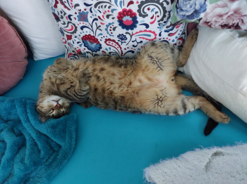 Lenny Bild von Lenny