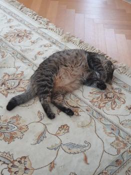 Maika Bild von Maika