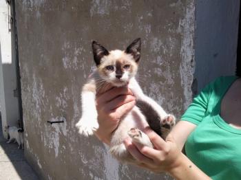 Ohne Bild von Taps-Boliche