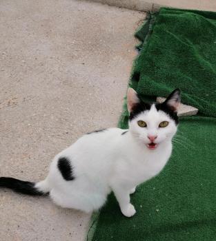Xena Bild von Xenia