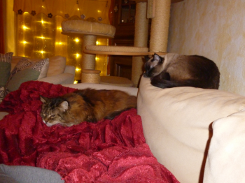 Elda Bild von Elda