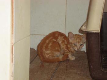 Ohne Bild von Tucker