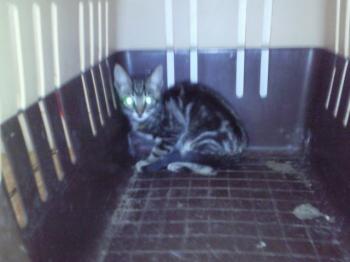 Ohne Bild von Merlin