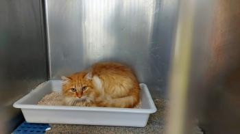 Jerry Bild von Jerry