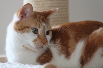 Tino Bild von Tino