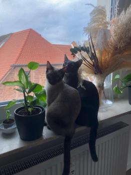Sara Bild von Sara