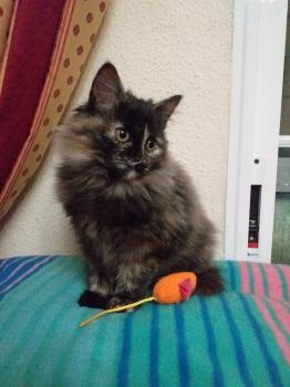 Hanna Bild von Hanna