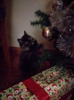 Hanna Bild von Hanna