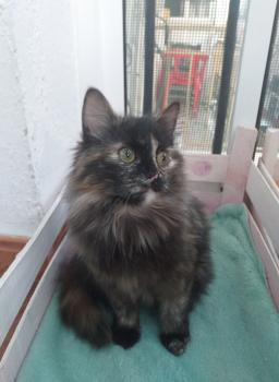 Hanna Bild von Hanna