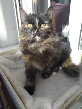 Hanna Bild von Hanna