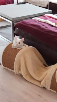 Tokio Bild von Tokio