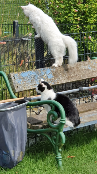 Tokio Bild von Tokio