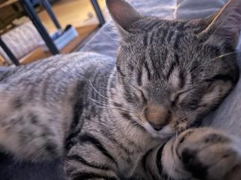 Endora Bild von Endora