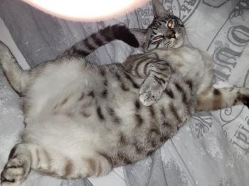 Camilo Bild von Camilo