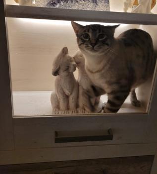 Camilo Bild von Camilo