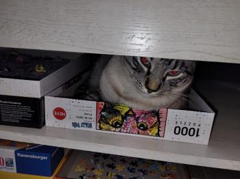 Camilo Bild von Camilo