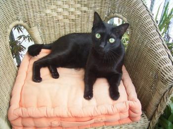 Lucas Bild von Lucas