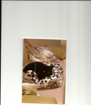 Nubio Bild von Nubio