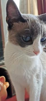 Linda Bild von Linda
