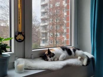 Mina Bild von Mina