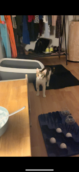 Miel Bild von Miel
