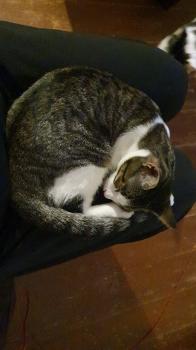 Cleo Bild von Cleo