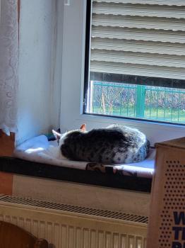 Cleo Bild von Cleo