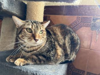 Loretta Bild von Loretta