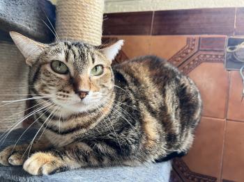 Loretta Bild von Loretta