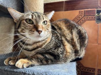Loretta Bild von Loretta