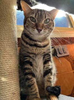 Loretta Bild von Loretta